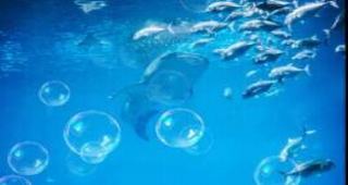 手機特效app軟件有哪些_手機特效制作推薦_手機視頻特效app排行榜