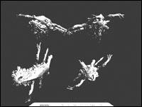 尖峰時刻：3DMark05詳細(xì)解析(多圖)(3)