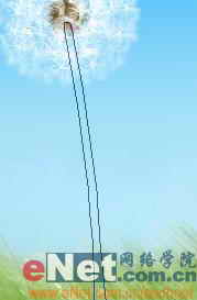 Photoshop制作逼真的風中蒲公英