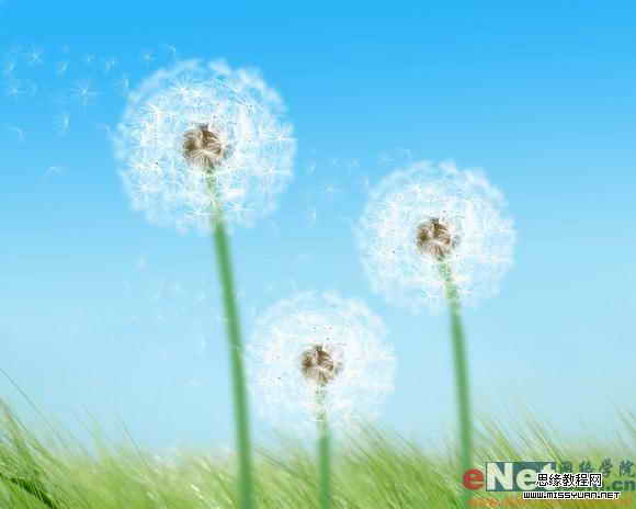 Photoshop制作逼真的風中蒲公英