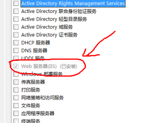 iis 300x246 Windows Server 2008下搭建php開(kāi)發(fā)環(huán)境(IIS FastCGI版)